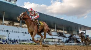 Chad Brown Already Looking Forward to 2026 with Mother Goose Winner Fully Subscribed